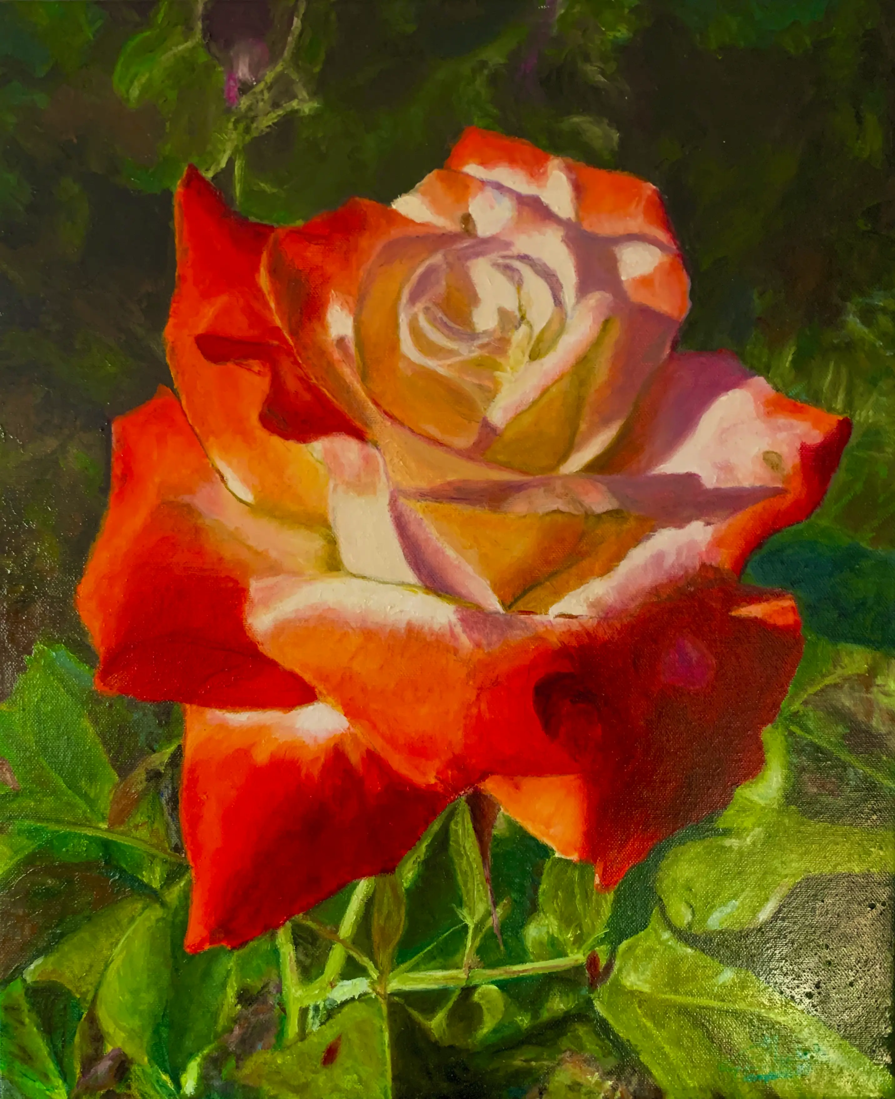 Nature morte 117 sur 134